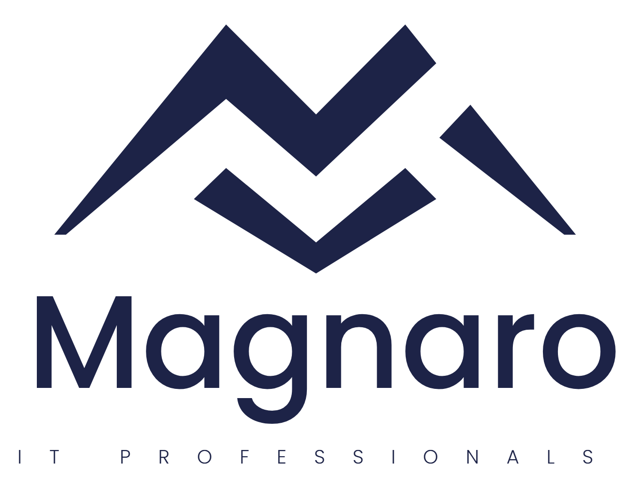 Magnaro IT Professionals